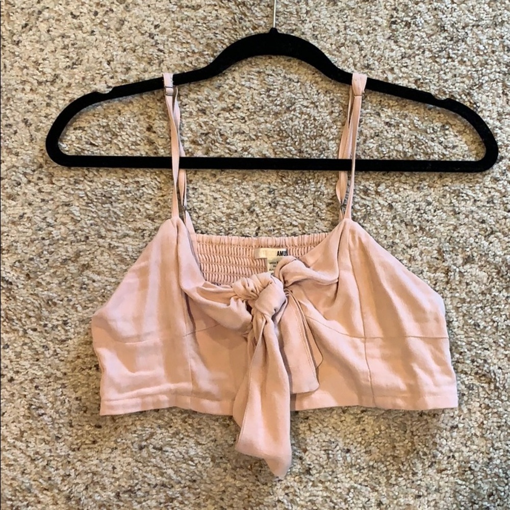 Amuse Society Crop Top